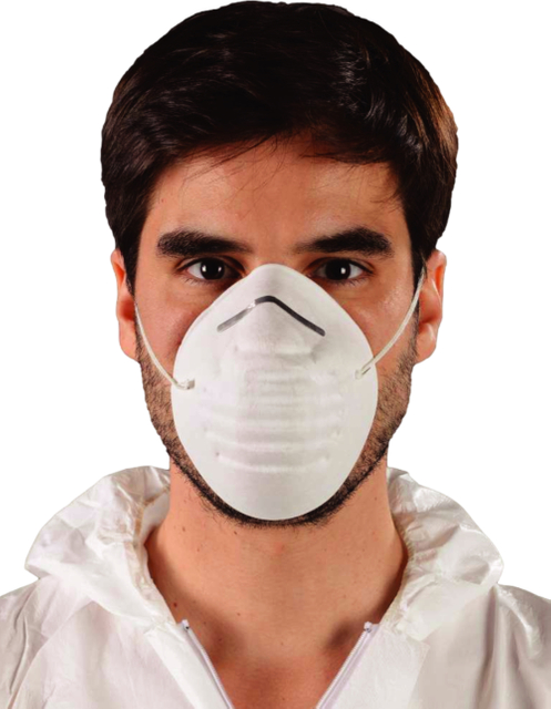 Dust Mask